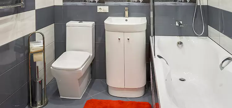 Hansgrohe Shaving Mirror Port Charlotte
